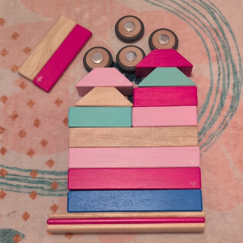 Tegu 20 piece set Wooden magnetic blocks